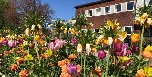 År 2014 antog fullmäktige en översiktsplan för Burlövs kommun Framtidsplanen.