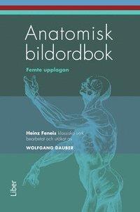 Anatomisk bildordbok PDF ladda ner LADDA NER LÄSA Beskrivning Författare: Heinz Feneis.
