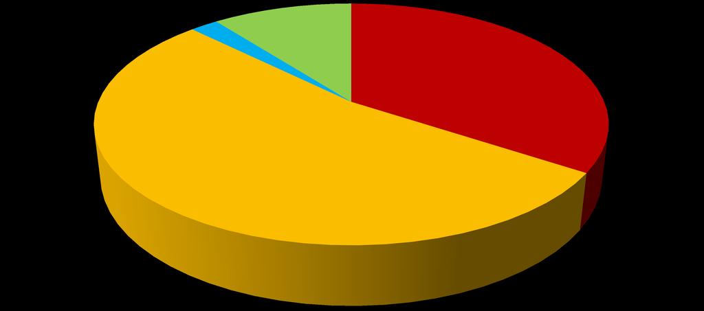 Revisionsrapport SITHS och HSA 7 Version. 7-- 4. Resultat I detta kapitel redovisas de brister som identifierats under revisionen.