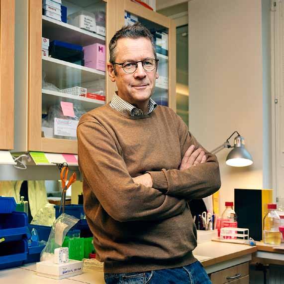 14 hjärt-lungfonden Johan Grunewald är professor i experimentell lungmedicin vid Institutionen för Medicin, Karolinska institutet, Solna, och forskar om sjukdomen sarkoidos.