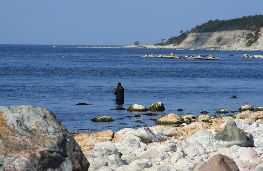 Fiske på Gotland