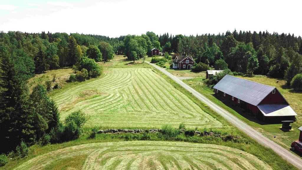 Skog i huggningsklasserna S1/S2 om ca 3 200 m3sk. Åker och bete ca 7 ha. Jakt och Fiskerätt. Visning onsdagen 5 september, kl.