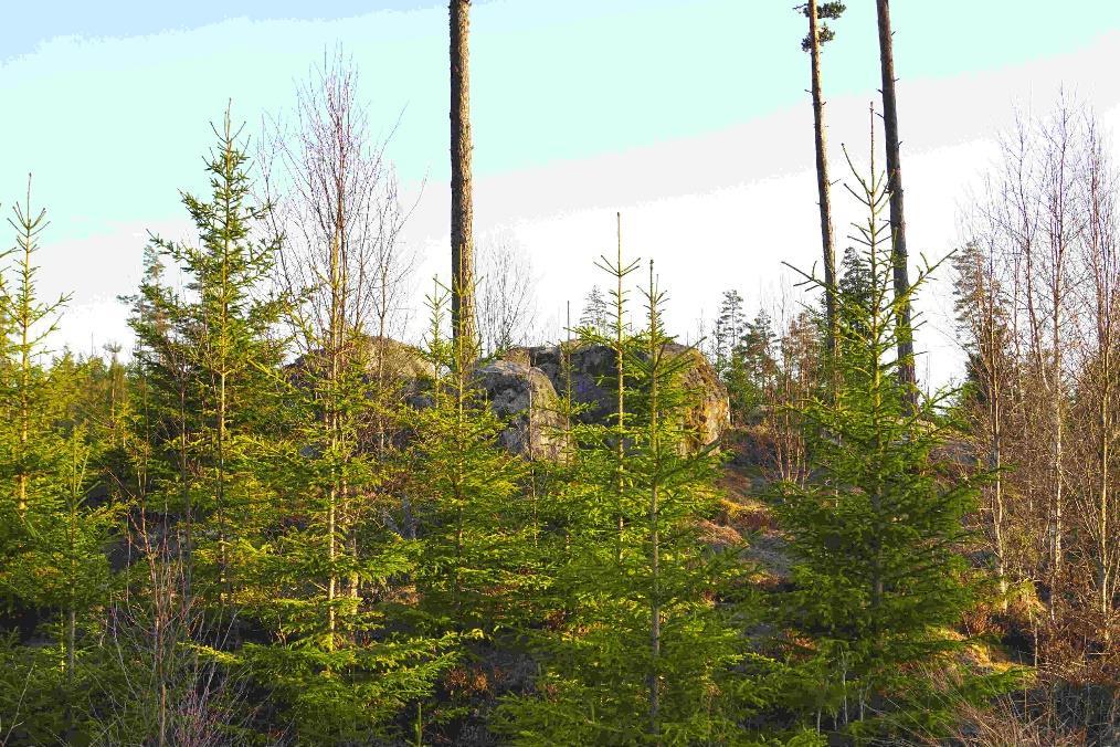 Skogsfastighet Lammhult 101 ha Växjö Älgabäck 1:2 och 1:3 Om Fastigheten Typ: Skogsgård Mark: ca 101 ha Virkesförråd: ca 8 700 m3sk