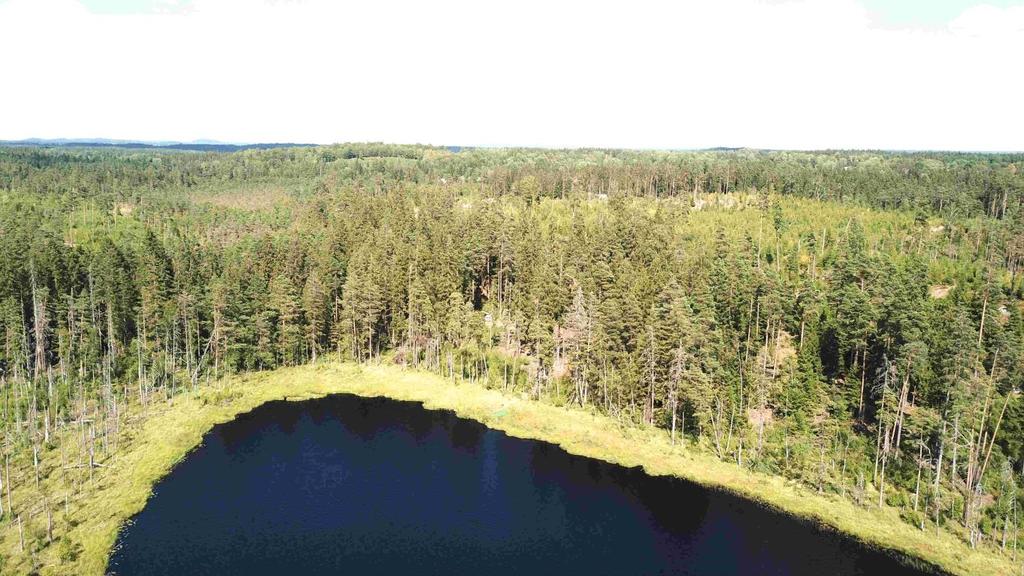 Övrigt Natur och kultur Ingen nyckelbiotop finns registrerad på fastigheterna, Källa: Skogens Pärlor, Skogsstyrelsen.