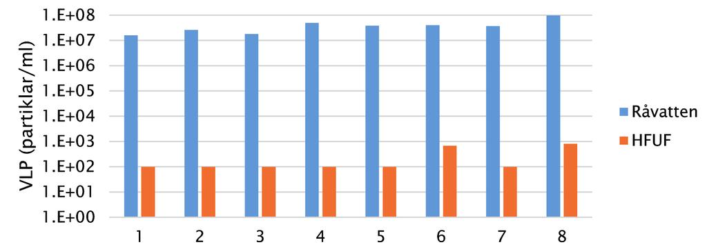 Figur 1. VLP per ml i råvatten från Stångån och samma vatten efter beredning med HFUF, sifforna på x-axeln representerar separata tillfällen för provtagningar. Figur 2.