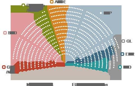 EU-PARLAMENTET Parlamentet har 751 ledamöter från samtliga EU länder. De större länderna har fler ledamöter än de små.