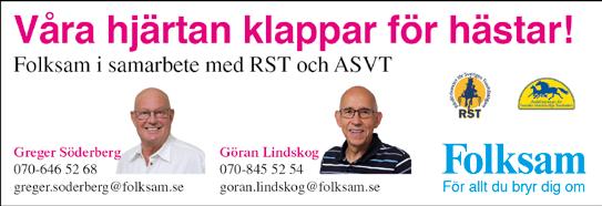 Tidsshem: