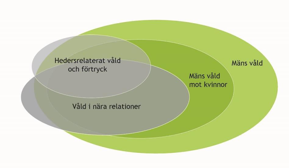 Olika former av mäns våld och dess