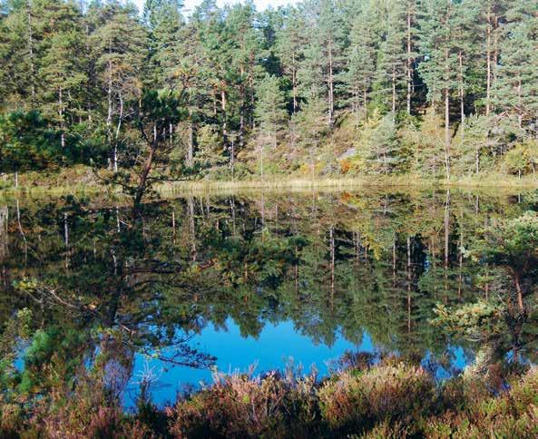 Det här får du göra i naturen enligt Allemansrätten Du får gå, cykla och rida och vara nästan överallt i naturen, men inte för nära hus. Om du öppnar en grind måste du stänga den bakom dig.