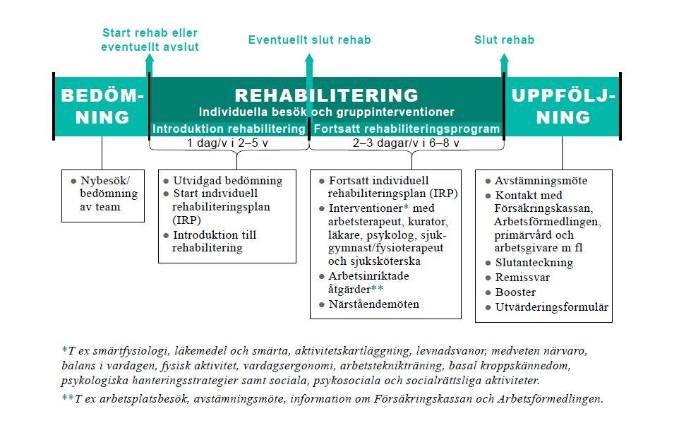 SMÄRTREHABILITERING -