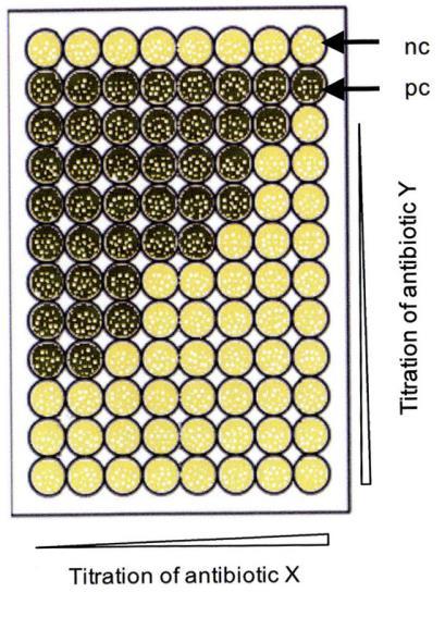 Time-lapse microscopy