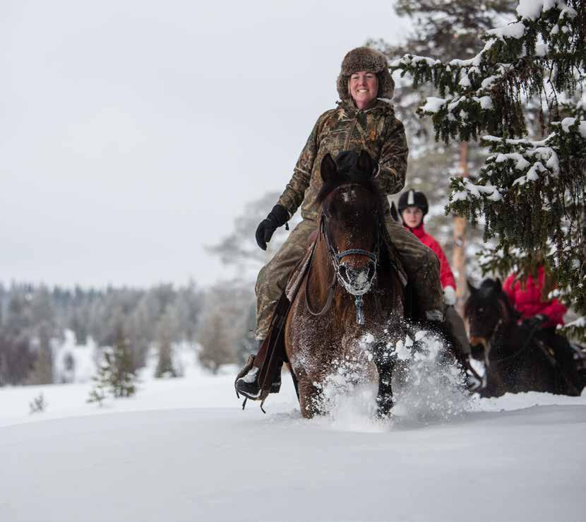 Gästen i Jämtland Härjedalen Med jämna mellanrum genomförs gästundersökningar på olika destinationer runt om i Jämtland Härjedalen.