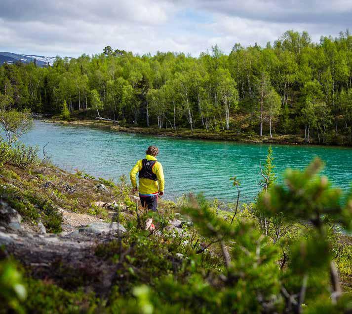 Snabba fakta om turismen i Jämtland Härjedalen Turismen i Jämtland Härjedalen omsatte 5,14 miljarder kronor 2017. Jämfört med 2016 en ökning med 200 miljoner kronor.