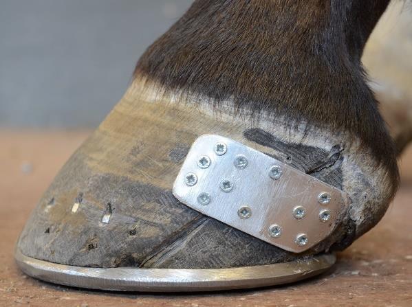 2016). Effekten av en dylik verkning förstärks om hästen skos. Då har bärranden inte kontakt med skon utan hänger fritt ovanför och ballen har möjlighet att sjunka tillbaka ned.
