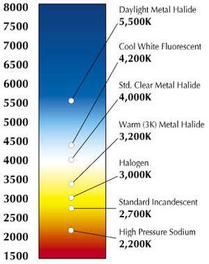 Temperatur och färgåtergivning Ljuskälla Ra-index Glödlampa 100 Halogenlampa 100 Dagsljus 100 Fullfärgslysrör 85