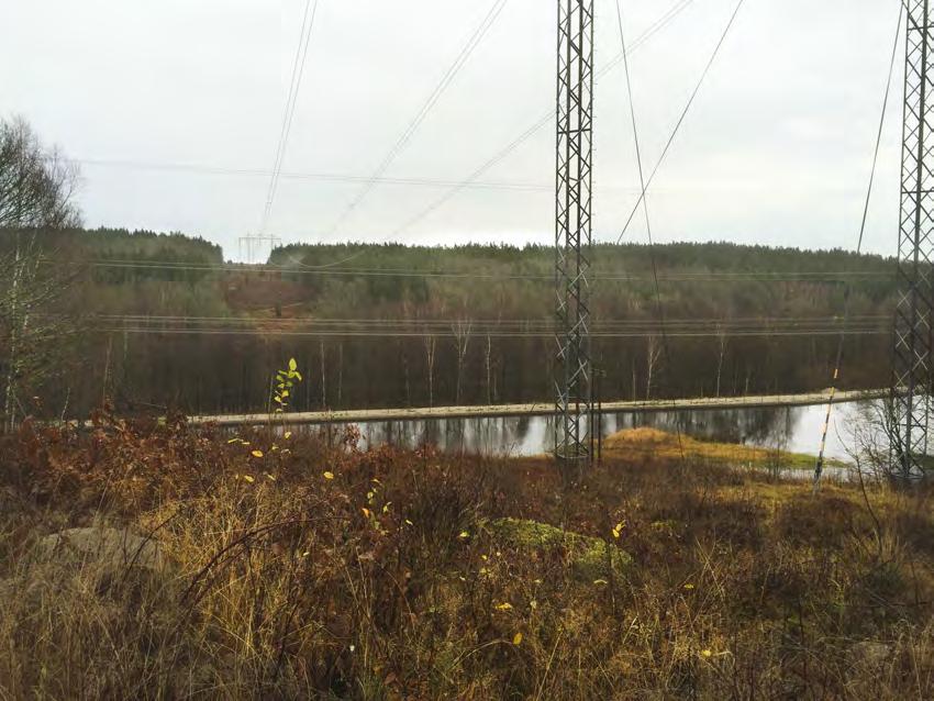 Figur 5. Exempel på passage över vattendrag där den strandnära lövskogen sparats. Bilden är tagen där en befintlig 400 kv-ledning korsar Mörrumsån strax söder om den planerade ledningen. 2.3.