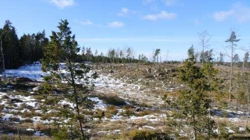 3 (16) Planområdet vy från syd östra sidan mot väster TIDIGARE STÄLLNINGSTAGANDEN Översiktsplan Gällande översiktsplan för Norrtälje vann laga kraft den 14 januari