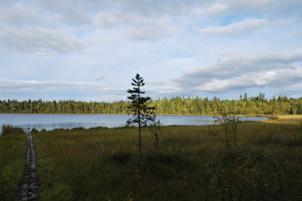 Utmed Kerisjokivägen finns några bofasta med jordbruksfastigheter och åkermark. I närheten av området finns en grustäkt och det pågår byggnation av Haparandabanan, som tangerar områdets norra del.