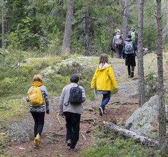 I vidare bemärkelse utgör den också