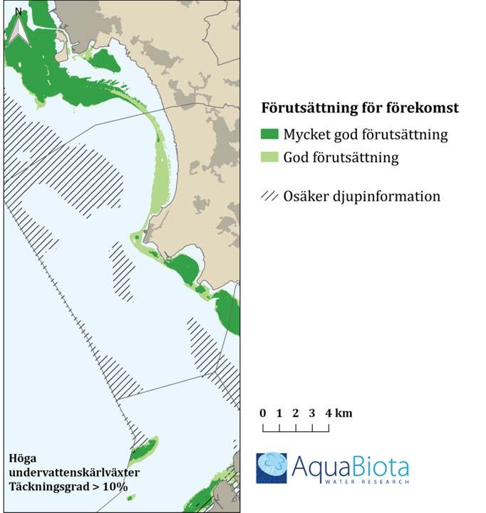 5 (7) området avgränsas med hänsyn till makroalger och bottenlevande djur (se figurer nedan). Makroalger är ett viktigt habitat för andra arter.