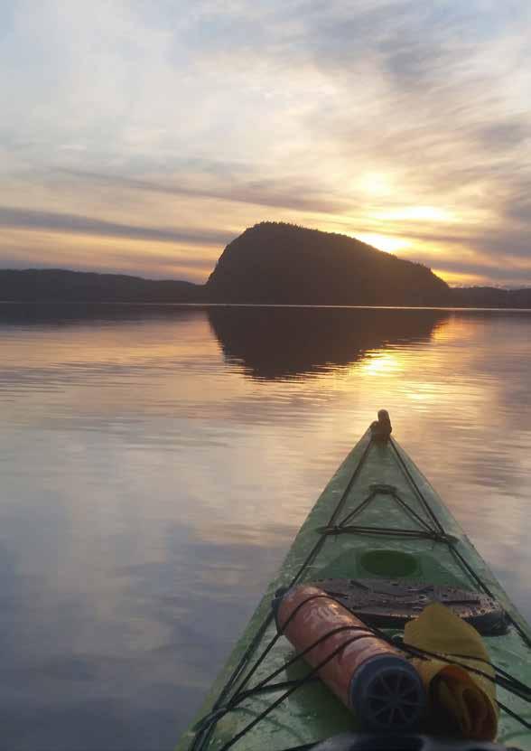 NATUR Naturturismen lockar idag många besökare till vår region för att cykla, paddla, segla, fiska, vandra, klättra osv. Det finns en tydlig ökad hälsotrend och efterfrågan av rekreation utomhus.