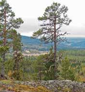 Tel: 060-577 358 Hamstasjön, Laggarberg Liten badplats med både brygga, gräs och sand. Ligger på sjöns södra sida intill laggarbergs skola.