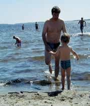 Havsbad Grunna i Fagervik Liten sandstrand, grillplats, väldigt långgrunt, varmt vatten, bra för mindre barn.