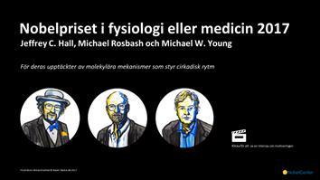 Fysik- och kemipriset ska delas ut av Kungliga Vetenskapsakademien, medicinpriset av Karolinska Institutet, litteraturpriset av Svenska Akademien och fredspriset av ett utskott bestående av fem