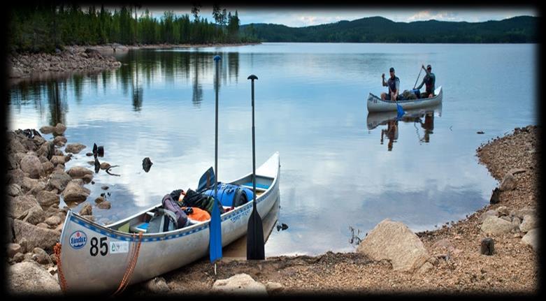 Administrativ Yrkesvuxsamverkan Värmland Start januari 2017 Samtliga 16 kommuner är med!