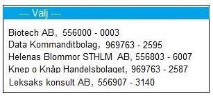 Exempel 2: Ingen registrering av Enskild näringsverksamhet hos Skatteverket, registrering av Enskild näringsidkare med namnskydd hos Bolagsverket.