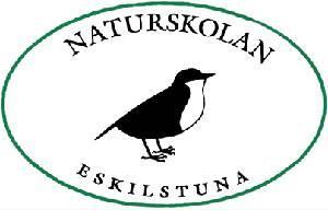 Naturskolans verksamhetsberättelse vt 2018 Naturskolan finns under Utvecklingsenheten på Eskilstuna Kommuns barnoch utbildningsförvaltning Naturskolan ingår i utvecklingsenheten tillsammans med