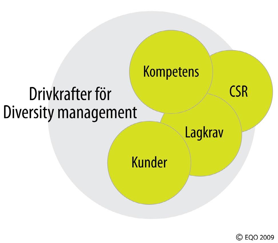5 Drivkrafter för Diversity management Kompetensförsörjning En vanlig drivkraft för Diversity management är förbättrade möjligheter att rekrytera, behålla och utveckla rätt kompetens.