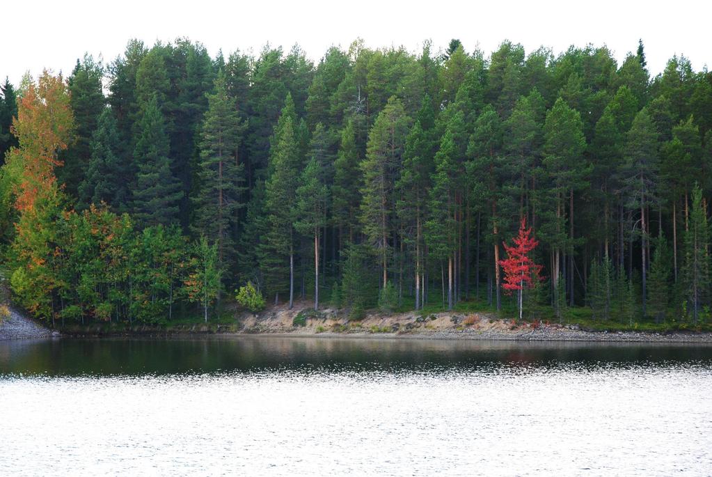 frtbildning Inbjudan