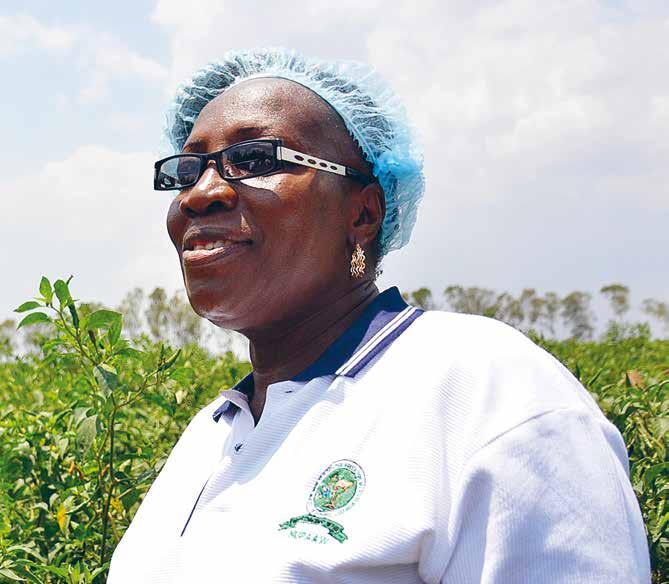 FOTO: LINA KARLSSON Adwoa Sakyi är baserad i Ghana och samordnar det globala facket IUF:s regionala kvinnoprojekt, som drivs i 16 afrikanska länder.
