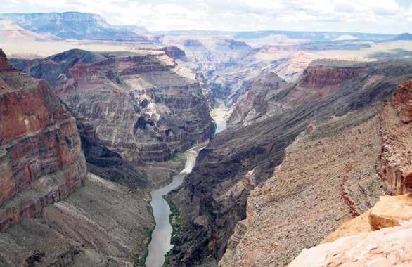 GRAND CANYON Flder frmar landskapet. Bilden visar en del av Grand Canyn i USA.