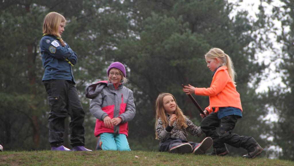 Avdelningarna Bäverscouterna (6-8 år) Gnagarna Bäverscoutavdelningen Gnagarna har under året 2016 haft 17 avdelningsmöten på olika platser i Trelleborg med omnejd.