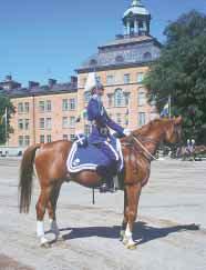 E. LIVGARDETS KAVALLERIBATALJON DRAGONBATALJONEN E 3 E 3 - Sabelexercis till häst Vapenställningar med sabel Gevär in Sabeln, med parerplåten framåt, vilar i baljan som