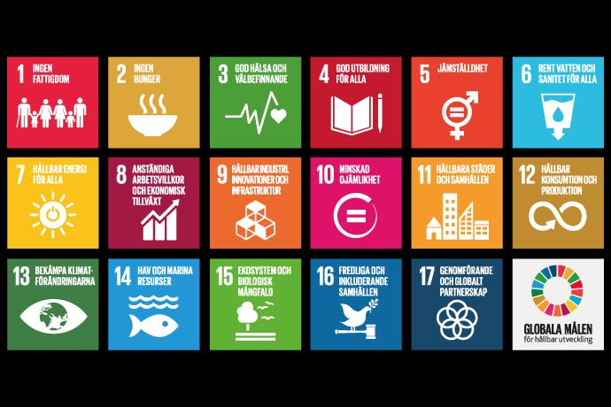 Agenda 2030 Under 2015 beslutade FN:s medlemsländer att förbinda sig till 17 globala hållbarhetsmål som ersätter Milleniemålen.