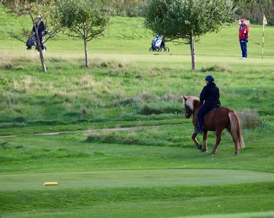 Eller bilda en ny intern grupp på golfklubben och involvera ett antal externa aktörer.