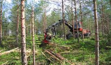 SAMVERKANSPROCESS SKOGSPRODUKTION 13 Förslag i rapporten om effektiv skogsskötsel (forts) (föryngring, röjning, gallring mm) 3.