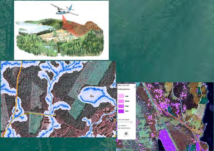 Bakgrund Geodata Skog Skogliga grunddata Statlig