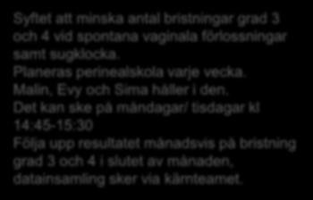Karolinska Huddinge - PDSA-cykel: Perinealskola för personal Perinealskola för personal Planerar perinealskol 1/vecka.