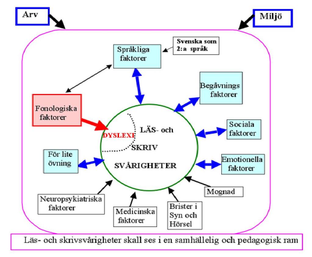 Bilaga 3 HUR KAN VI SE PÅ LÄS- OCH SKRIVSVÅRIGHETER OCH DYSLEXI? AV CHRISTER JACOBSON Det är många faktorer som påverkar barns läsförmåga.