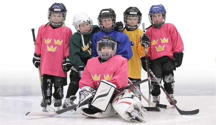 Enligt Smålands hockeyförbund sker smålagsspel alltid på tvären på isen. Vi tränar en gång i veckan. Träningens ledord är lek, lär, spel och glädje.