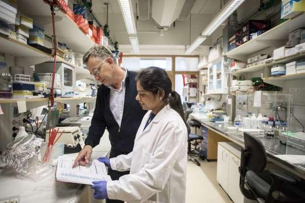 WntResearch utvecklar en ny typ av cancerläkemedel baserat på banbrytande forskning vid Lunds Universitet som visar att det kroppsegna proteinet Wnt-5a spelar en viktig roll för tumörcellernas