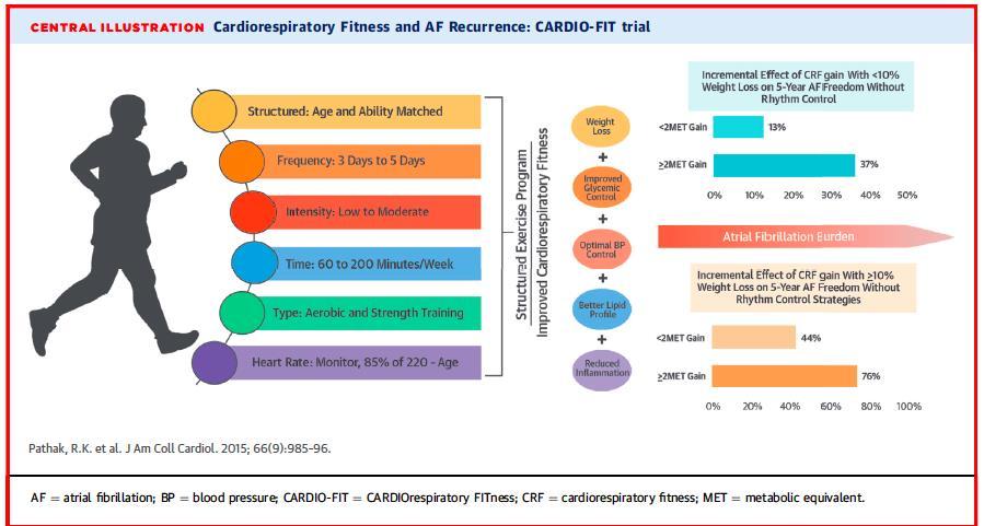 CARDIO-FIT Strukturerat