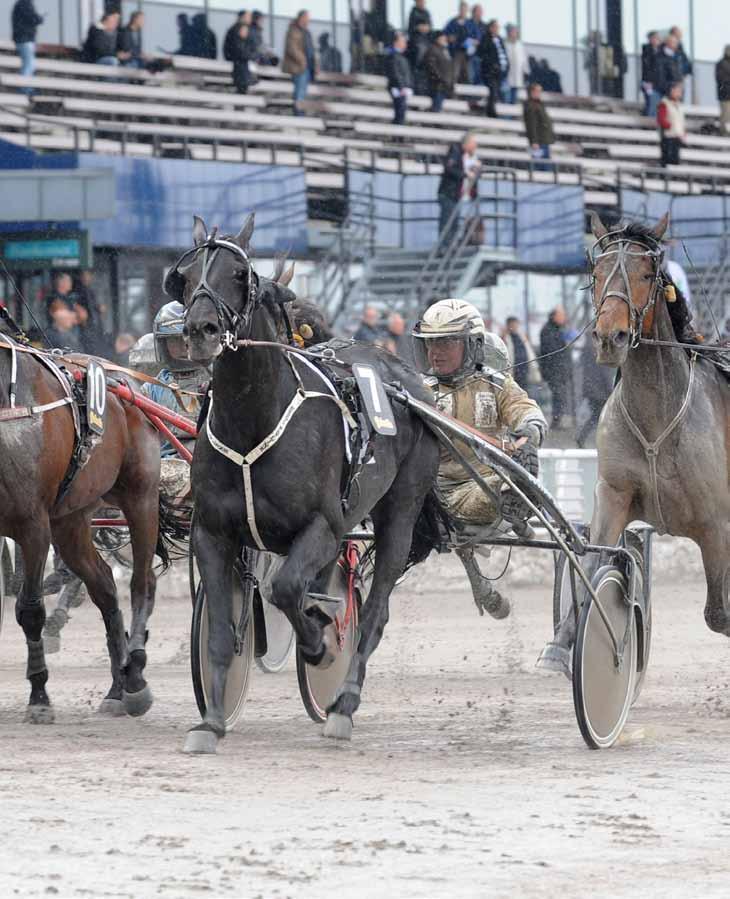 STALL Magnus Jakobsson Nytorp