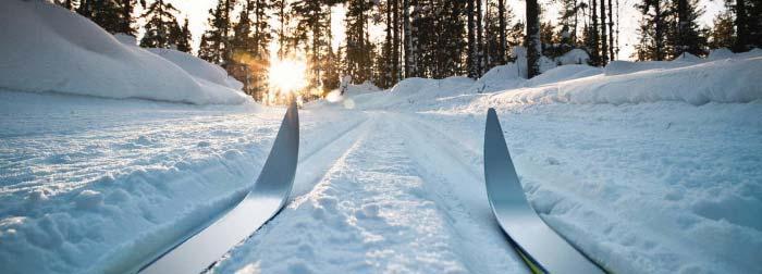 BÖRJE SKI-LOVERS Måndagen den 13 januari 2014 gick startskottet för Börje Ski-Lovers!! Vi ses vid Fjälliden kl. 19.00 för gemensam skidåkning i vårt fina elljusspår. Alla är välkomna!