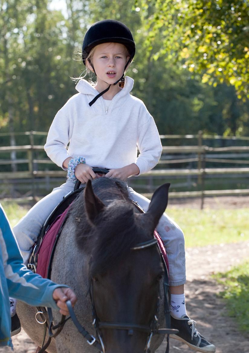 Beginners camp If you have never tried horseback riding or only tried it a few times, this is the camp for you! One riding lesson, one theory lesson and horse care every day.