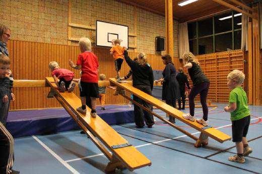 Vill du vara med ta kontakt med Frida Mellander på gymnastikklubben 0768-10 46 51 frida.mellander@gmail.